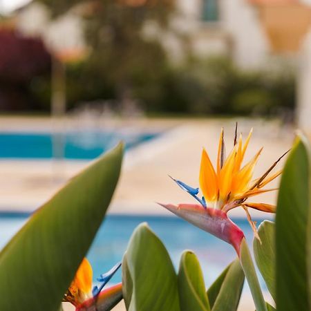 Sunny Getaway In Funchal Leilighet Eksteriør bilde